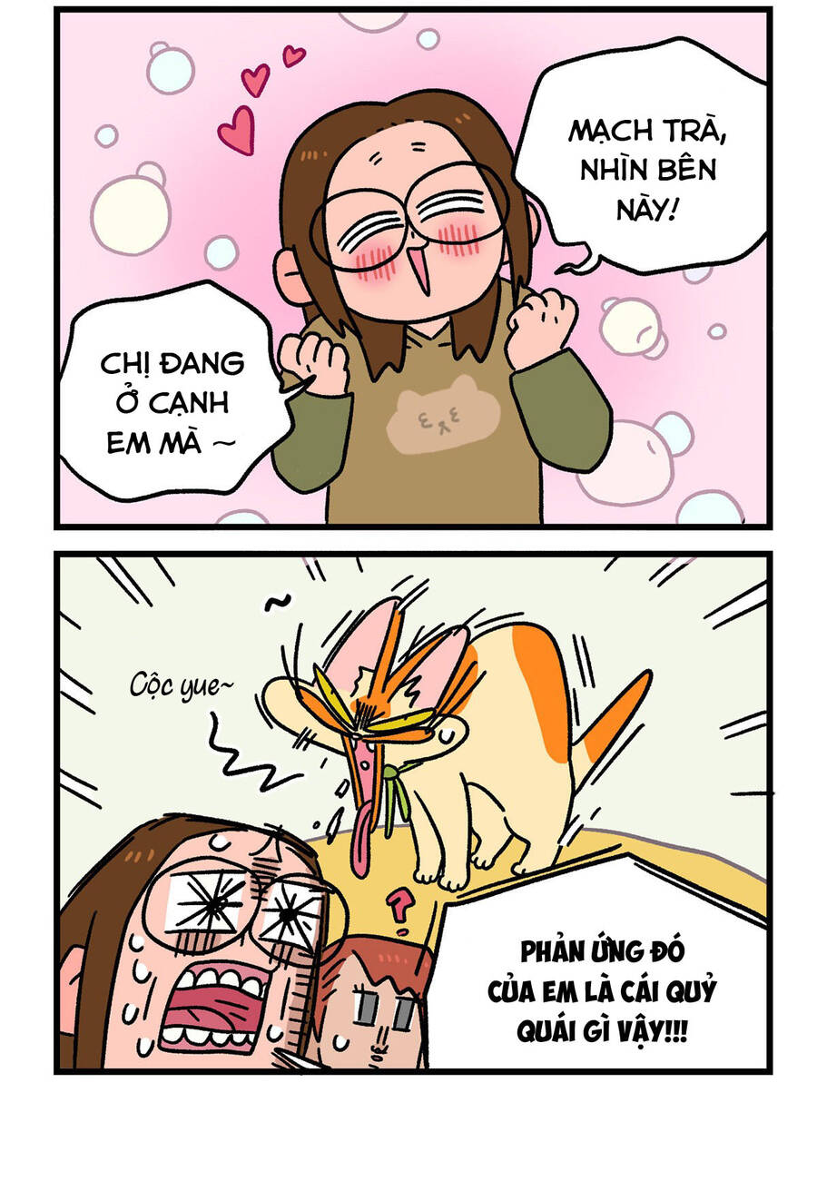 A Mãn Và Mạch Trà: Chapter 122.1