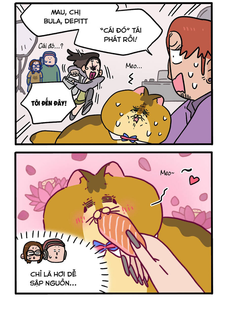 A Mãn Và Mạch Trà: Chapter 123