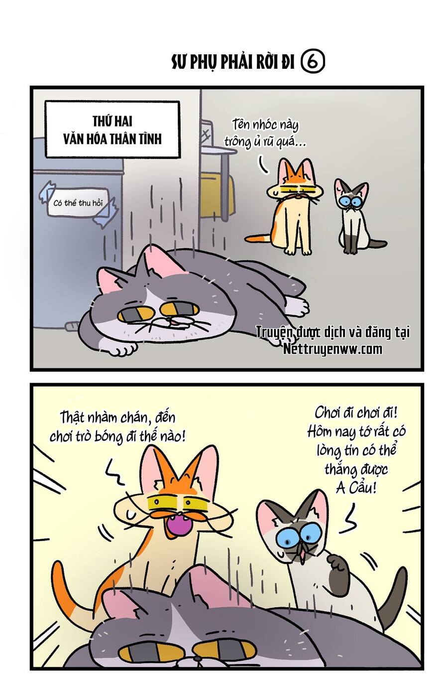 A Mãn Và Mạch Trà: Chapter 125.1