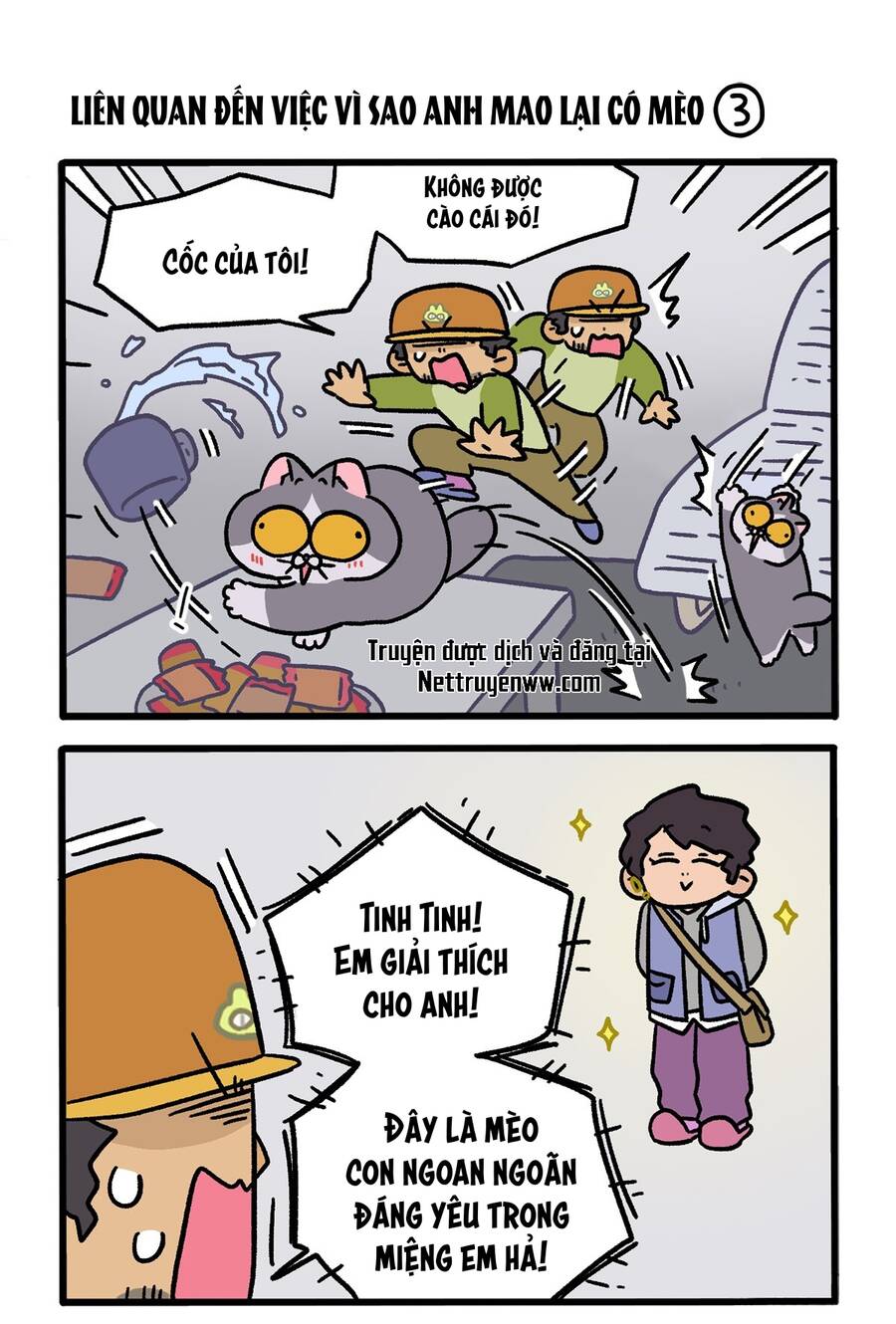 A Mãn Và Mạch Trà: Chapter 126