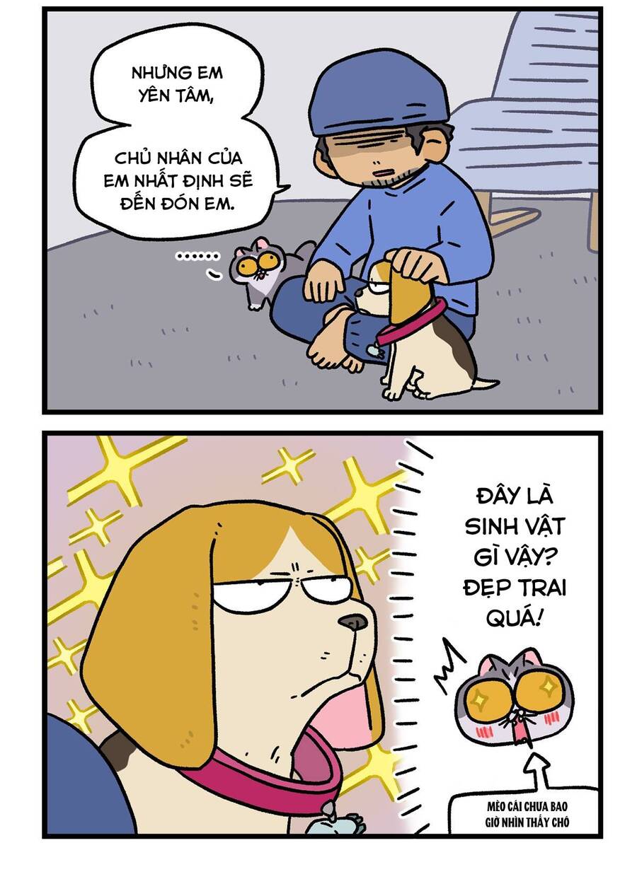 A Mãn Và Mạch Trà: Chapter 127.1