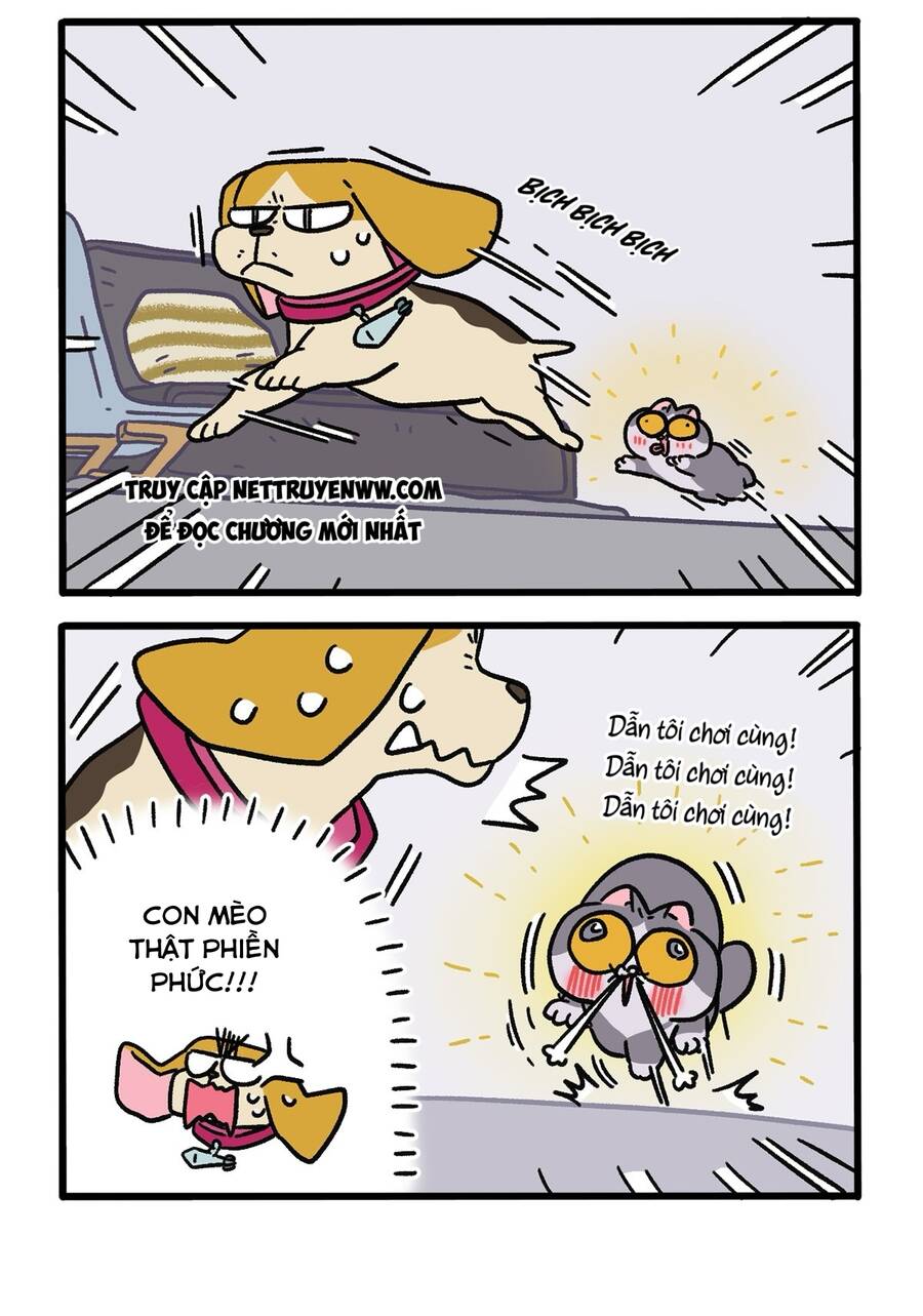 A Mãn Và Mạch Trà: Chapter 128