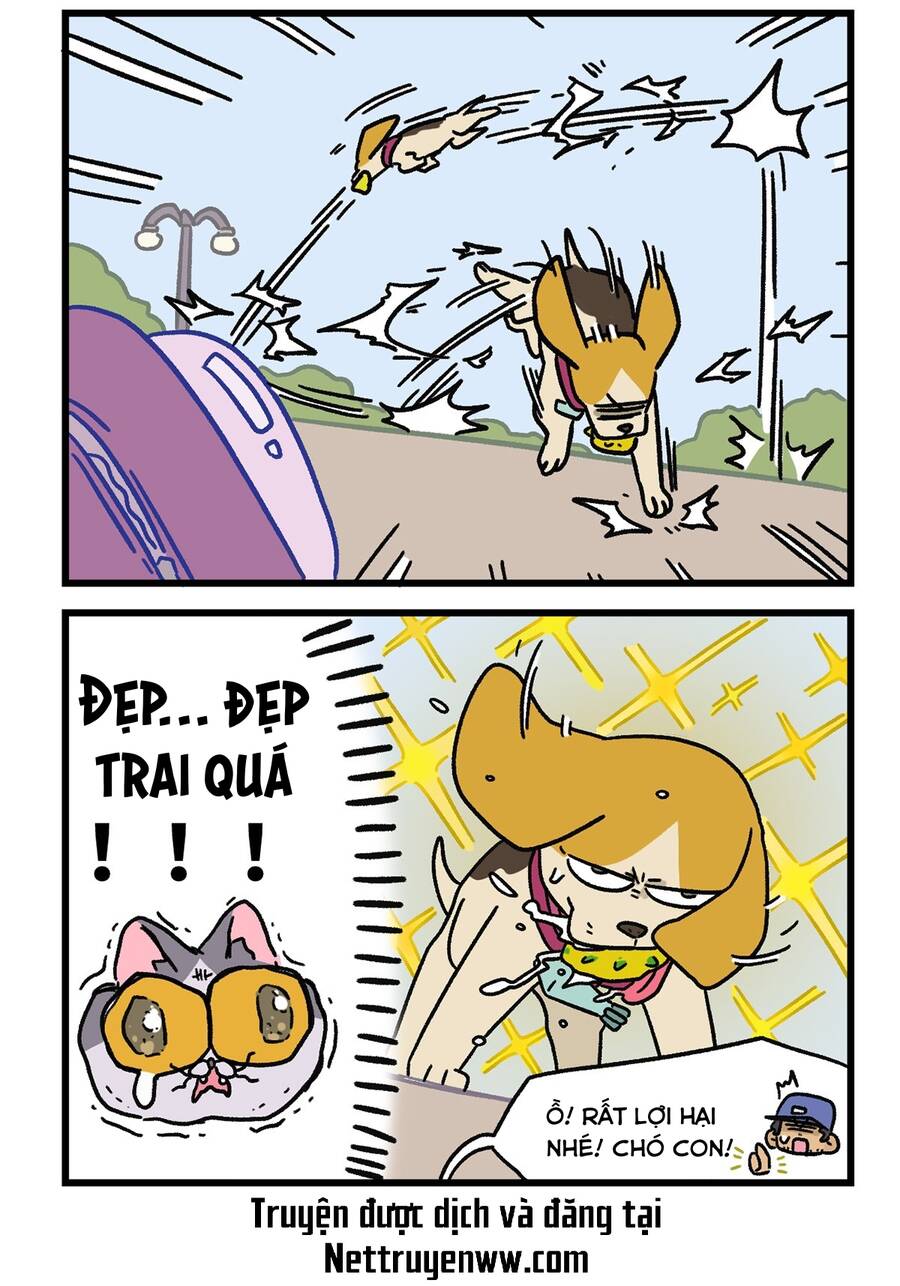 A Mãn Và Mạch Trà: Chapter 129.1