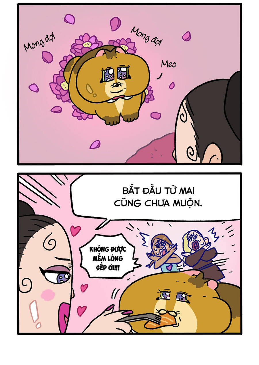 A Mãn Và Mạch Trà: Chapter 132.1