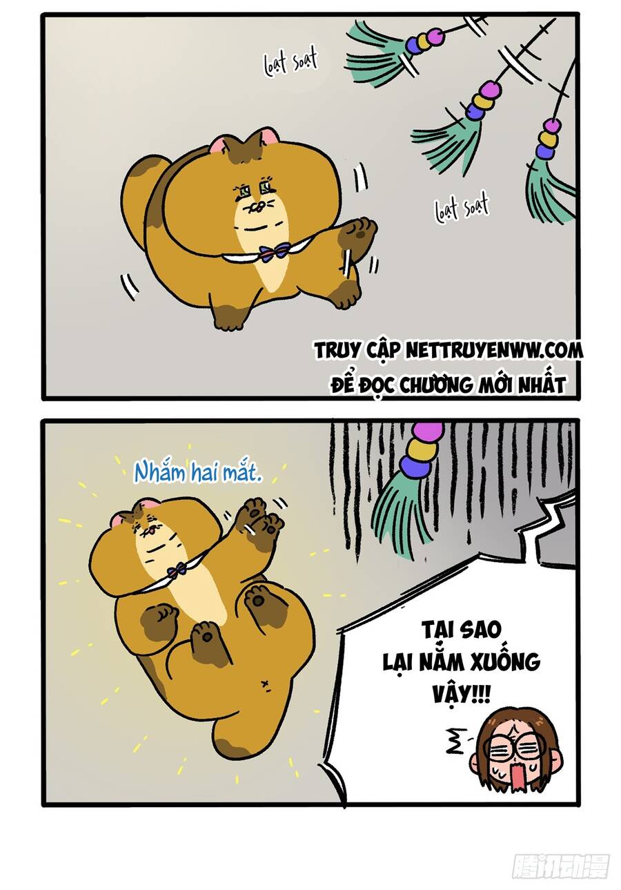 A Mãn Và Mạch Trà: Chapter 133.1