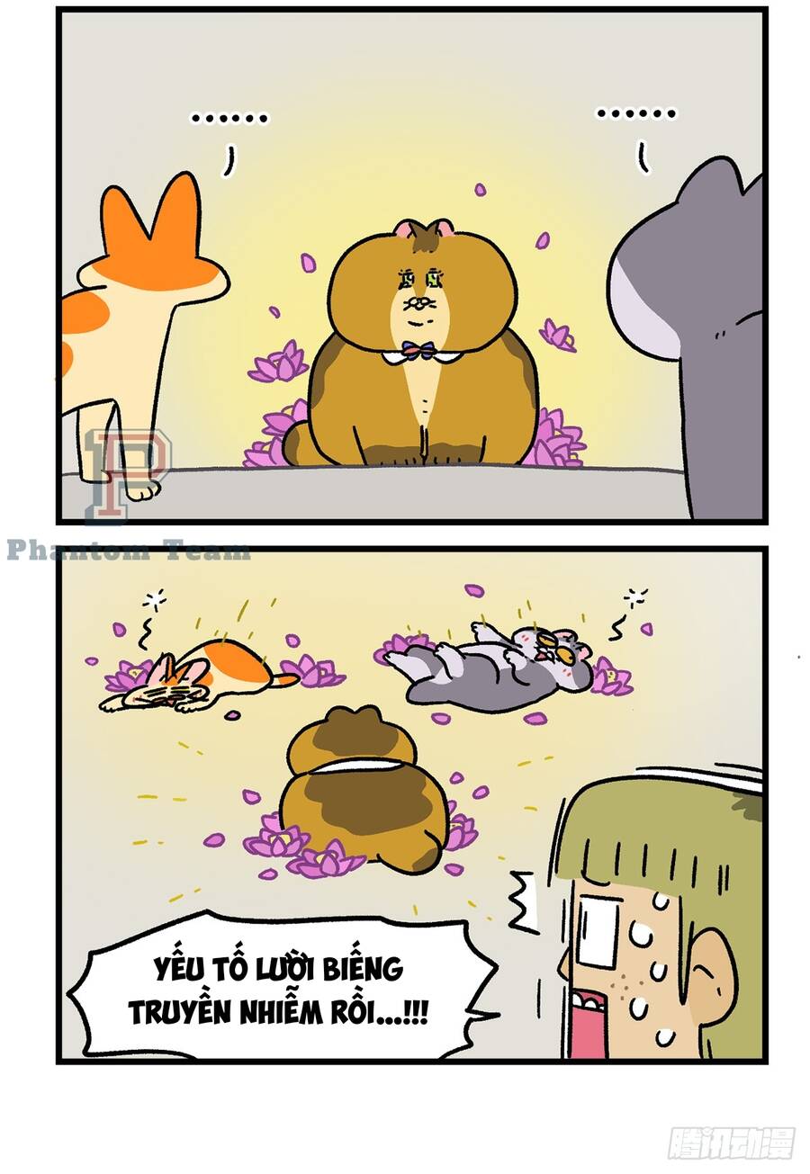 A Mãn Và Mạch Trà: Chapter 133.1
