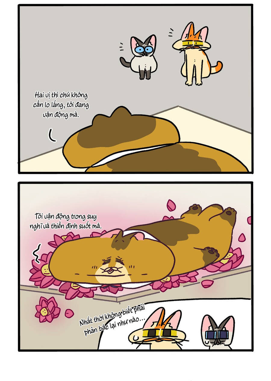 A Mãn Và Mạch Trà: Chapter 134.1