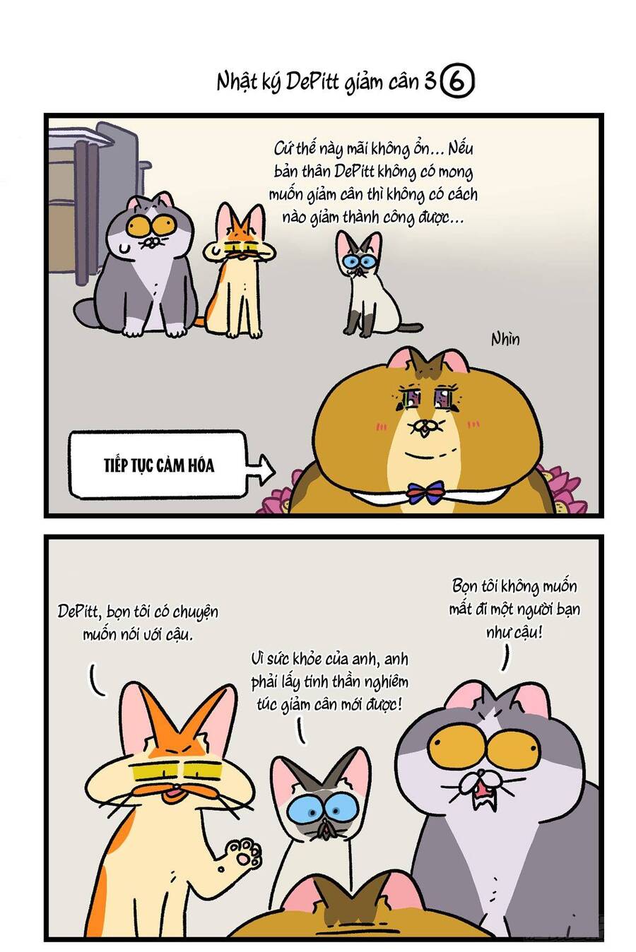 A Mãn Và Mạch Trà: Chapter 134.1