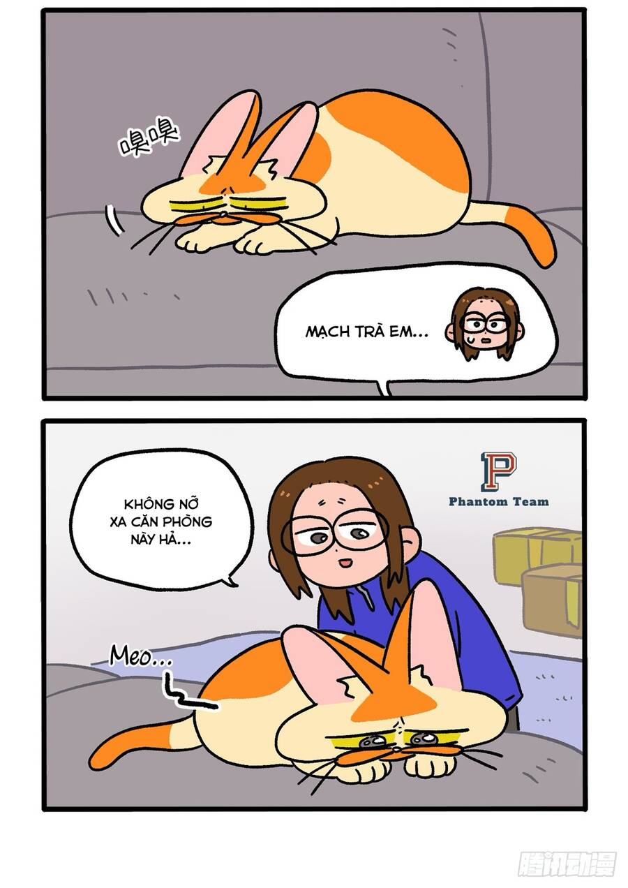 A Mãn Và Mạch Trà: Chapter 138.1