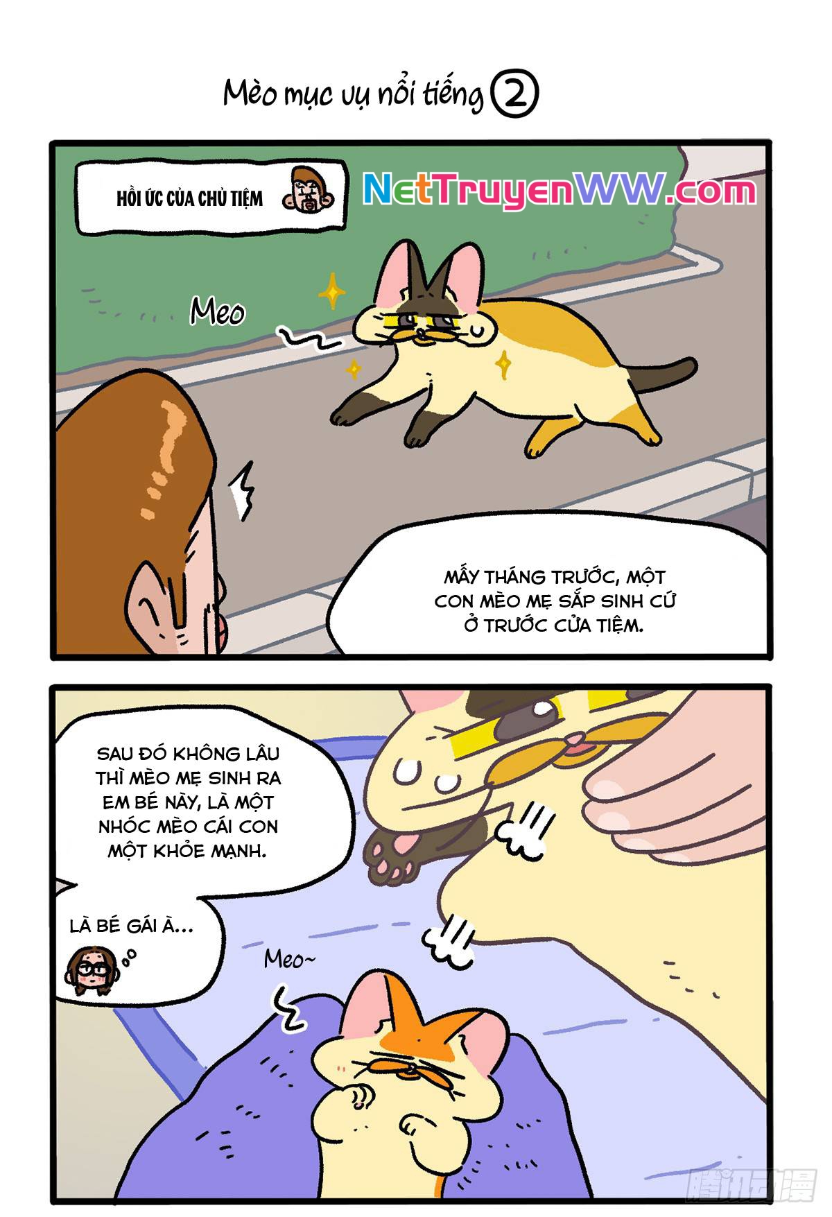 A Mãn Và Mạch Trà: Chapter 142