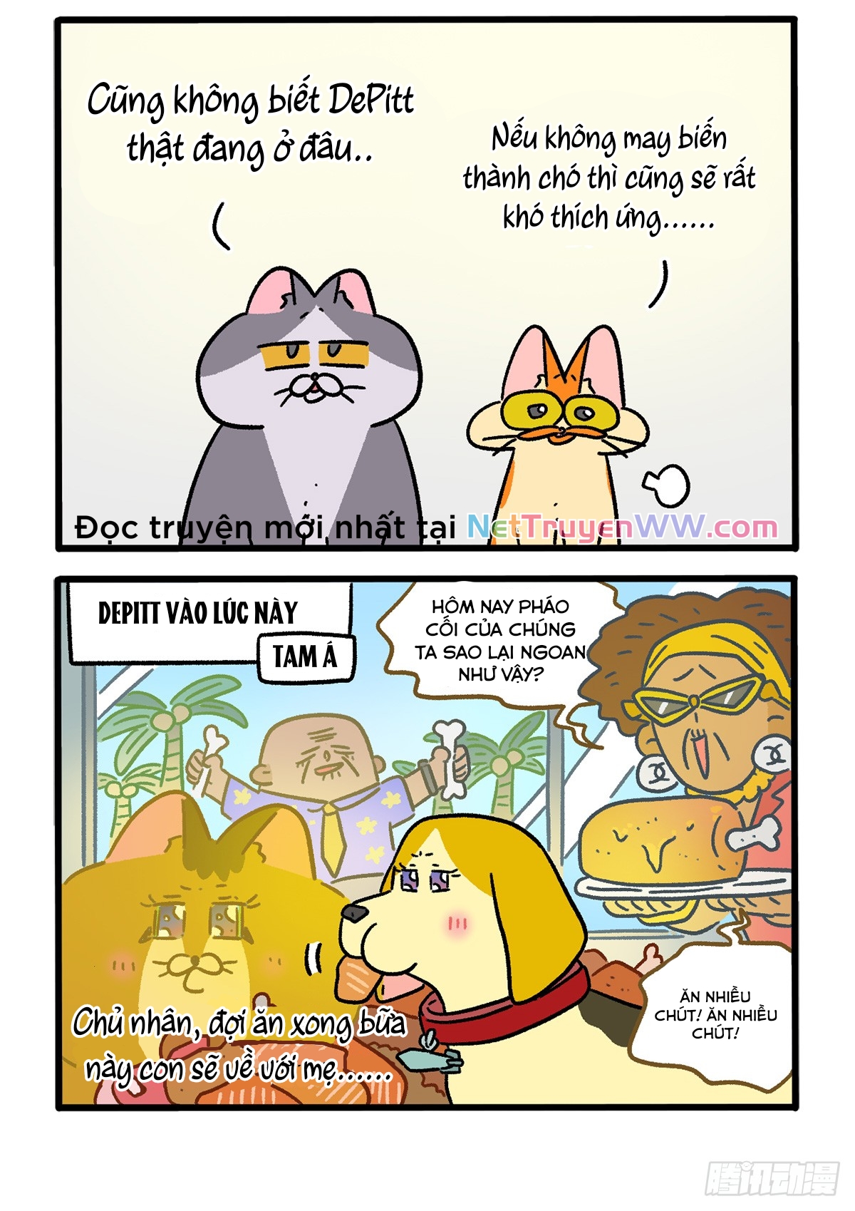 A Mãn Và Mạch Trà: Chapter 152.1