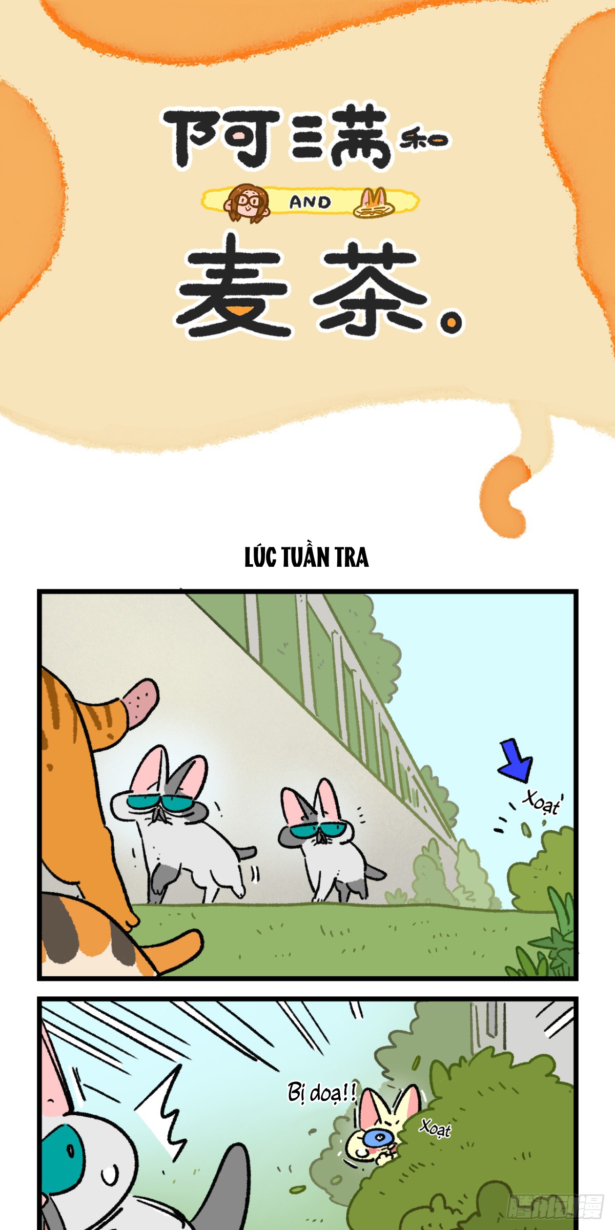 A Mãn Và Mạch Trà: Chapter 172