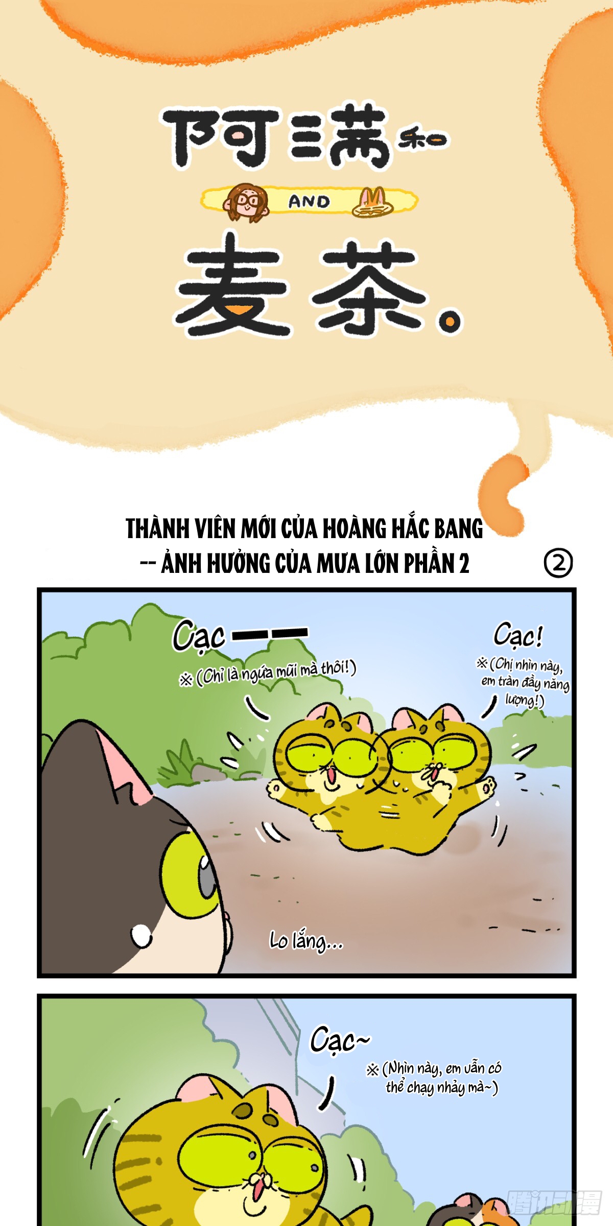 A Mãn Và Mạch Trà: Chapter 196