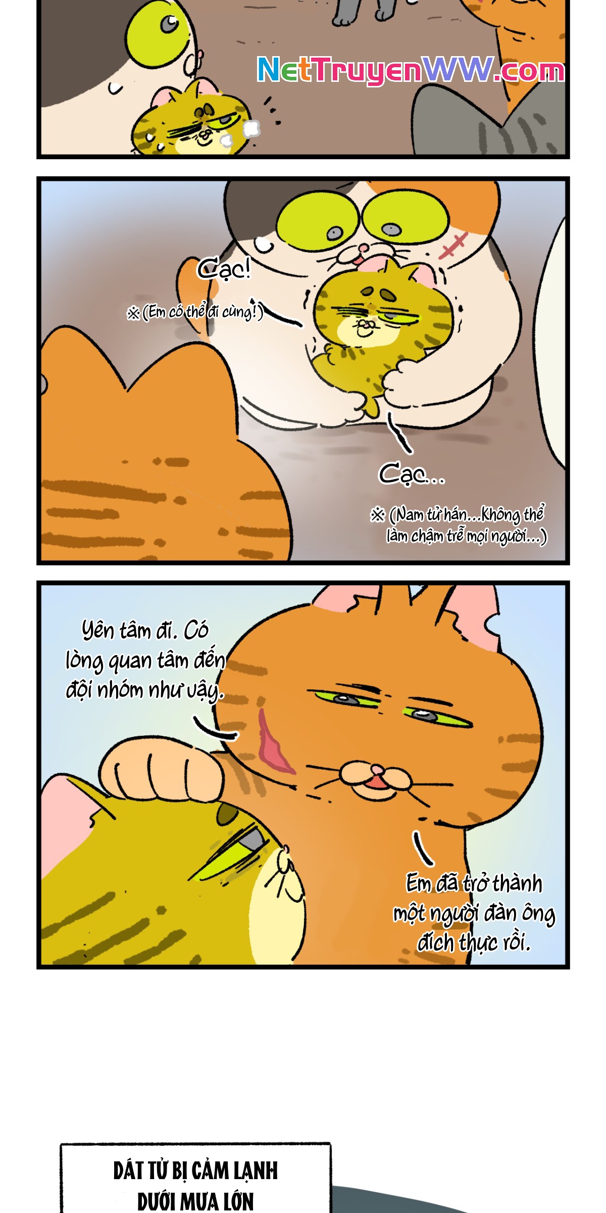 A Mãn Và Mạch Trà: Chapter 196