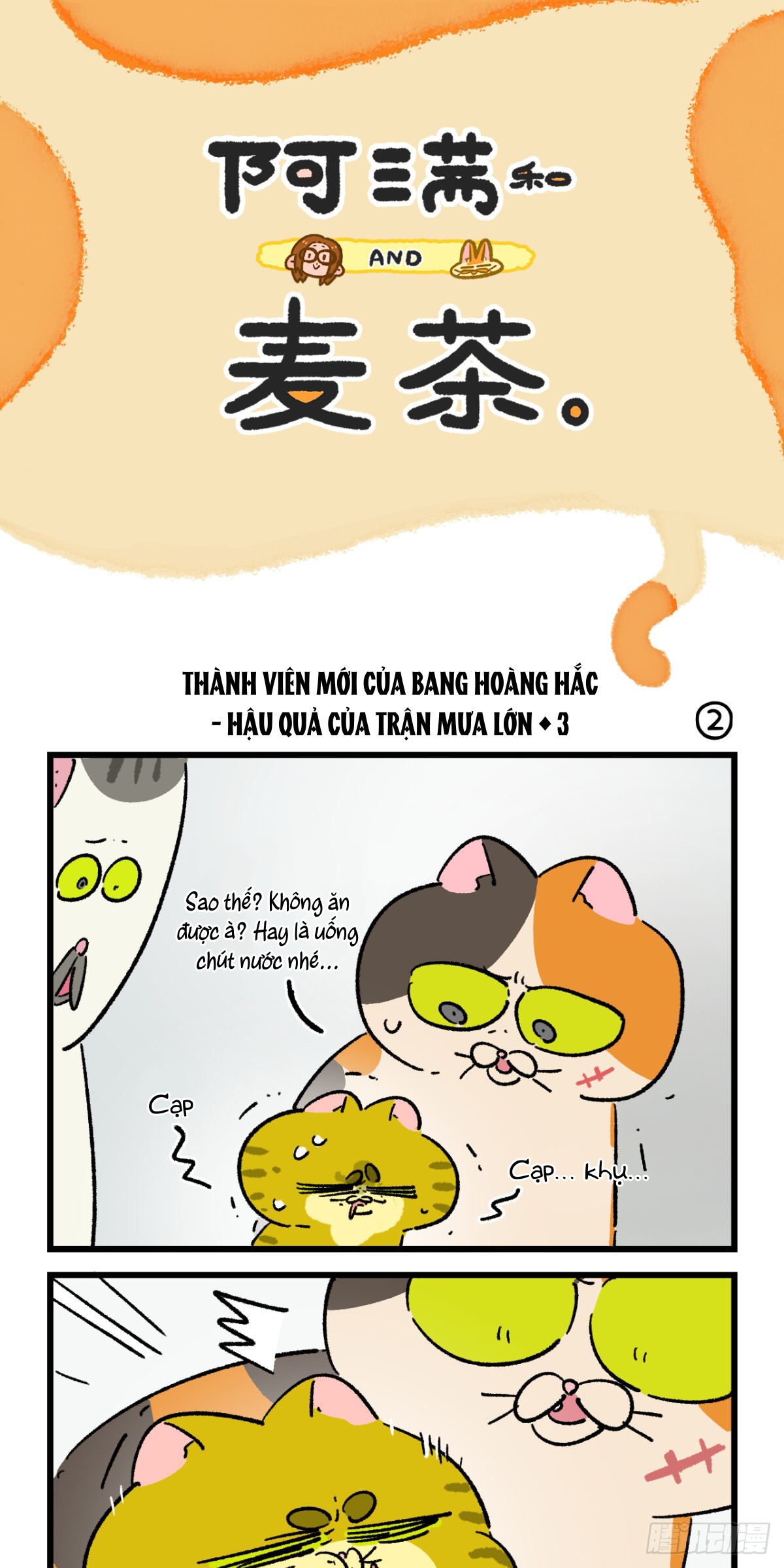 A Mãn Và Mạch Trà: Chapter 197