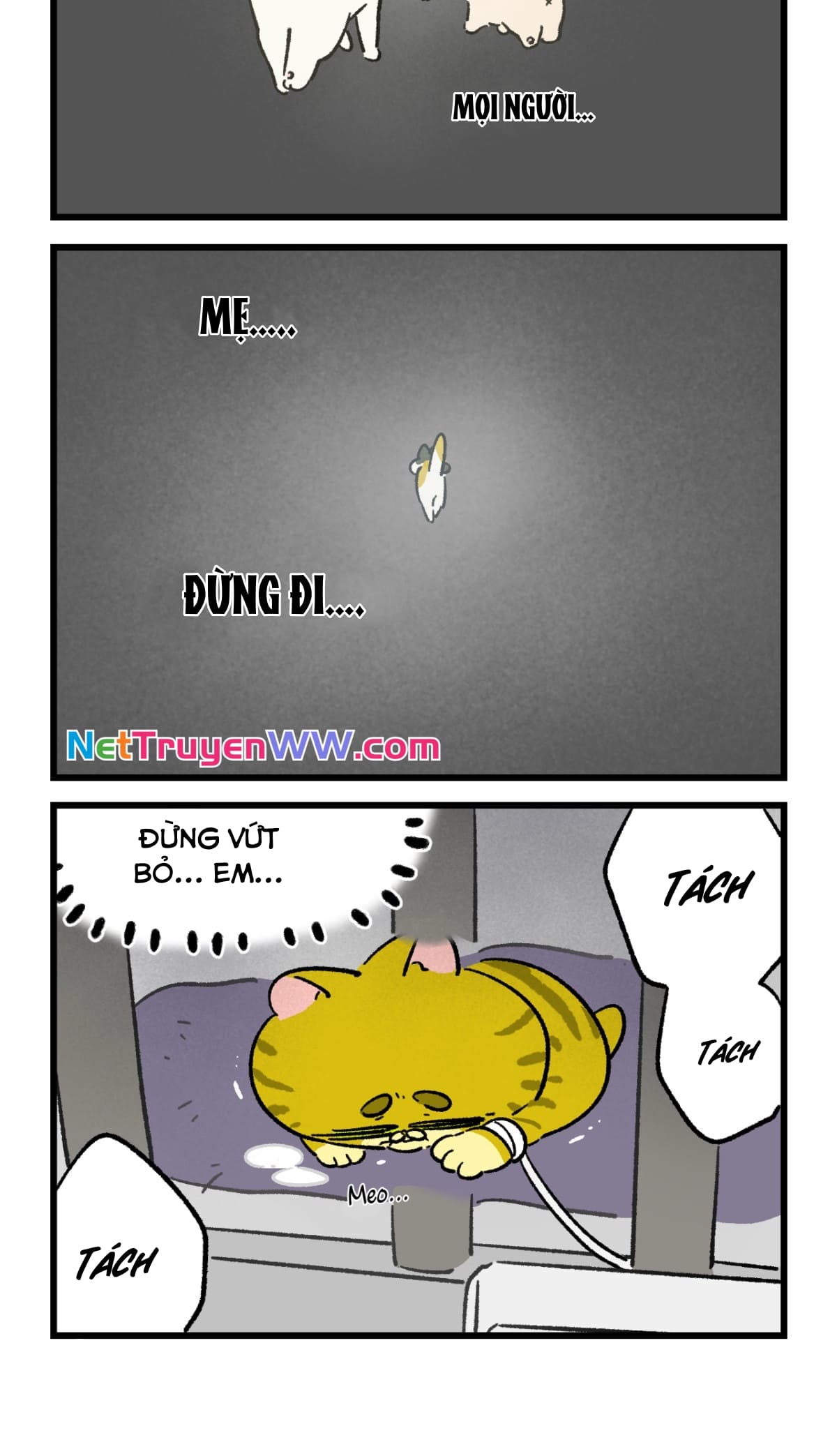 A Mãn Và Mạch Trà: Chapter 198