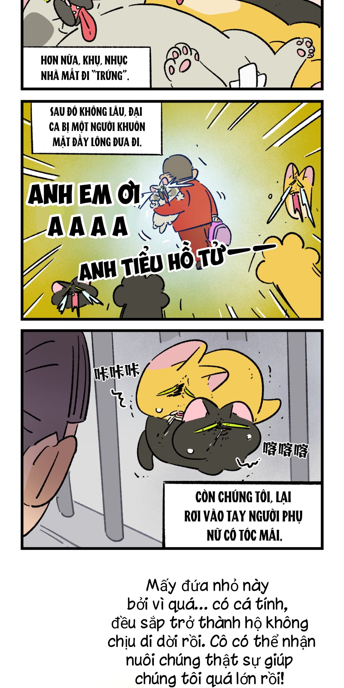 A Mãn Và Mạch Trà: Chapter 201