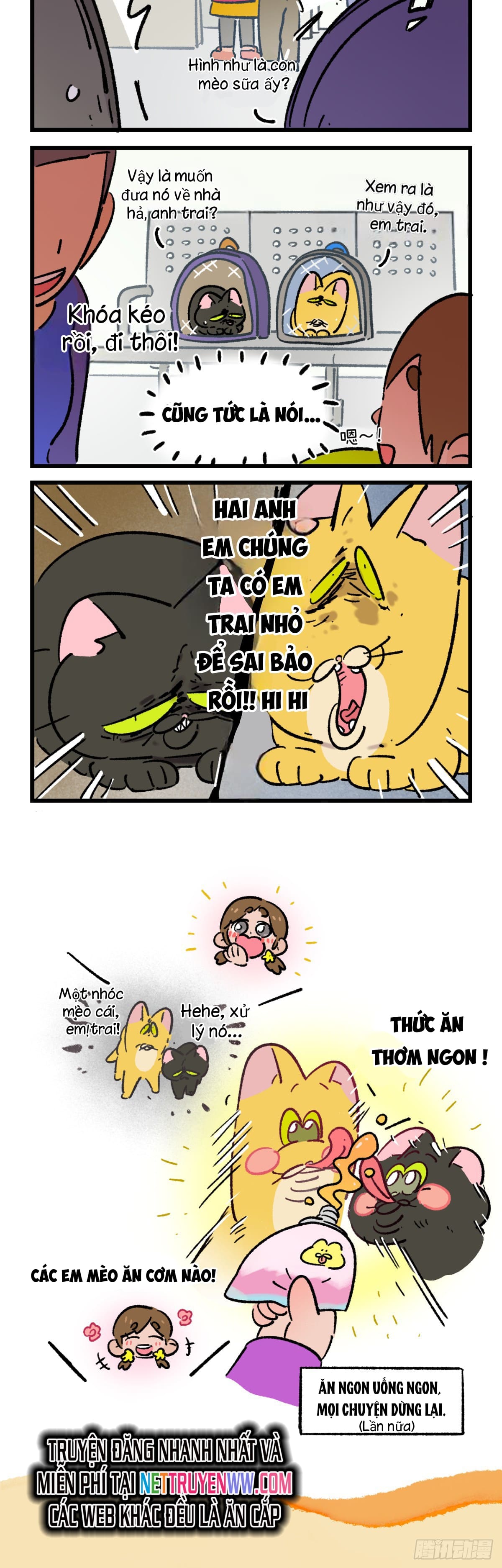 A Mãn Và Mạch Trà: Chapter 201