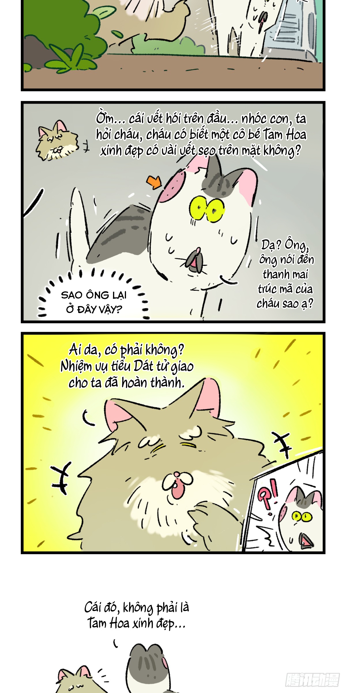 A Mãn Và Mạch Trà: Chapter 203.1