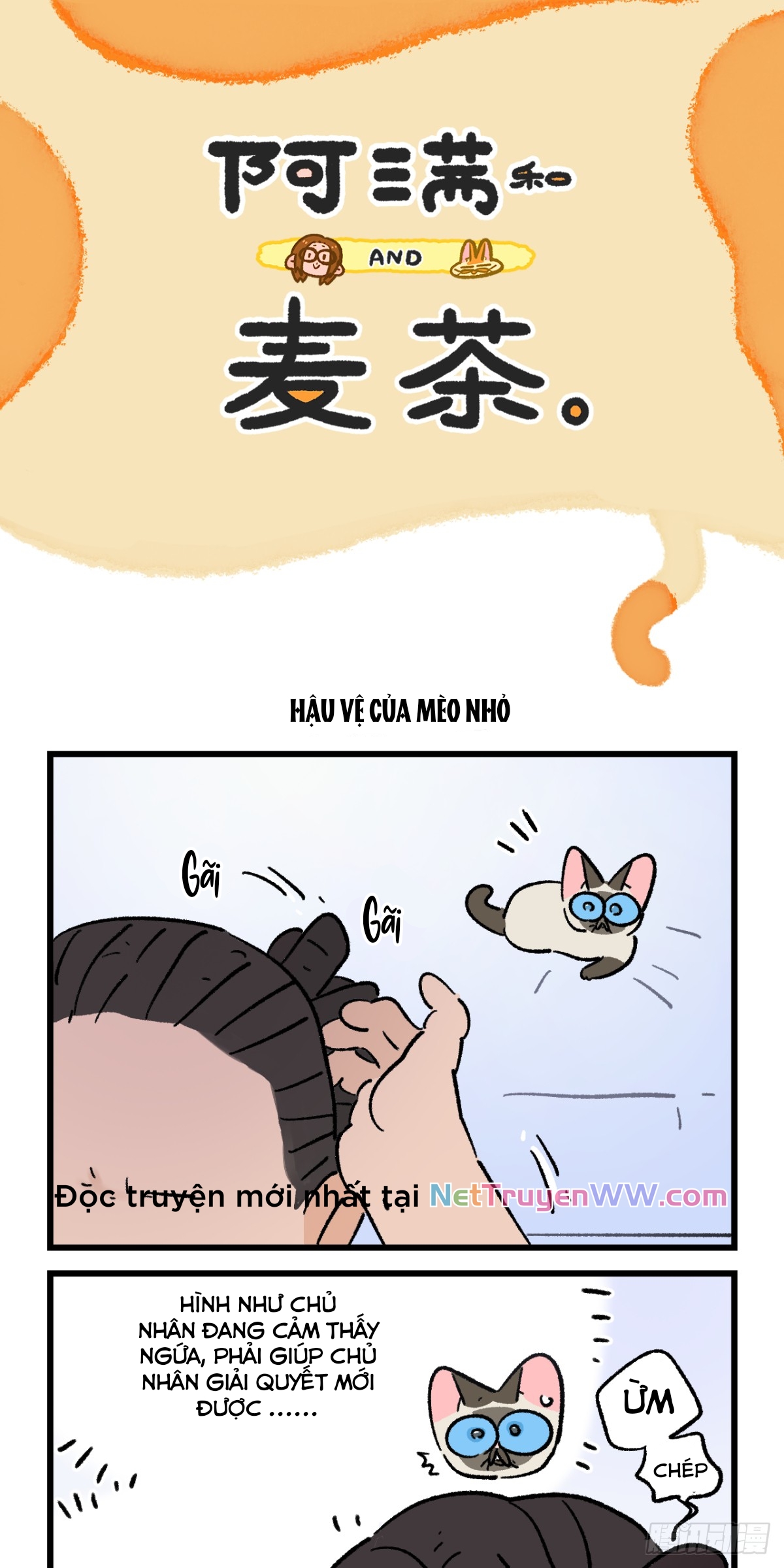 A Mãn Và Mạch Trà: Chapter 211