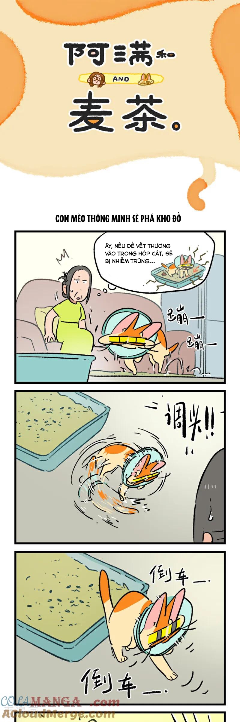 A Mãn Và Mạch Trà: Chapter 224.1