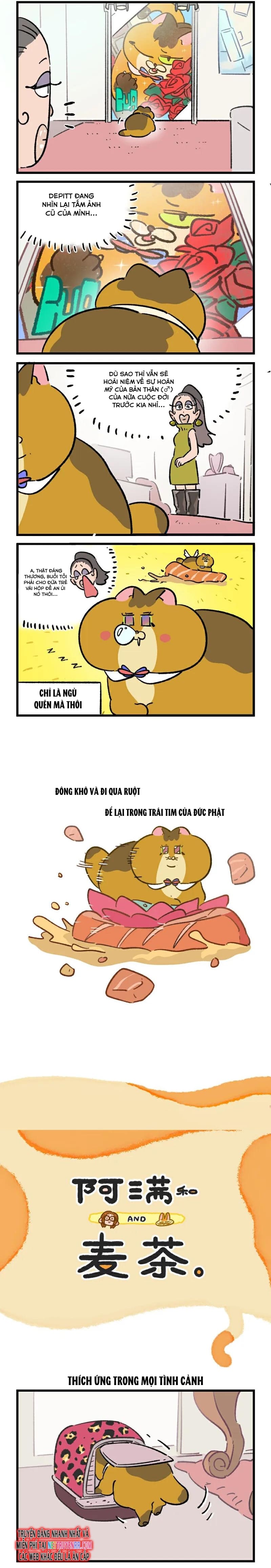 A Mãn Và Mạch Trà: Chapter 229