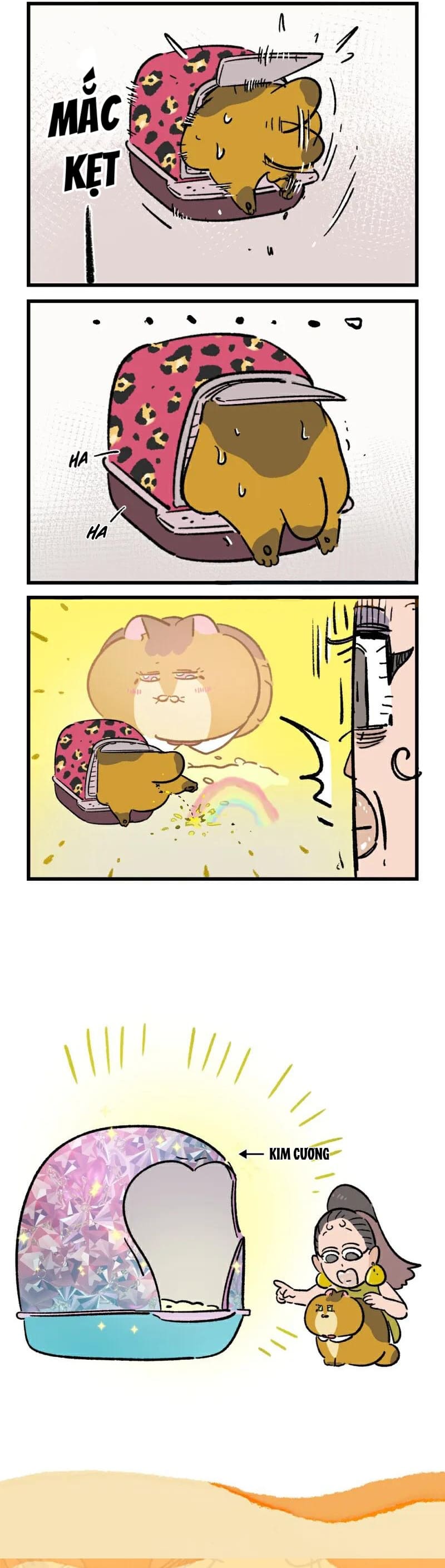 A Mãn Và Mạch Trà: Chapter 229