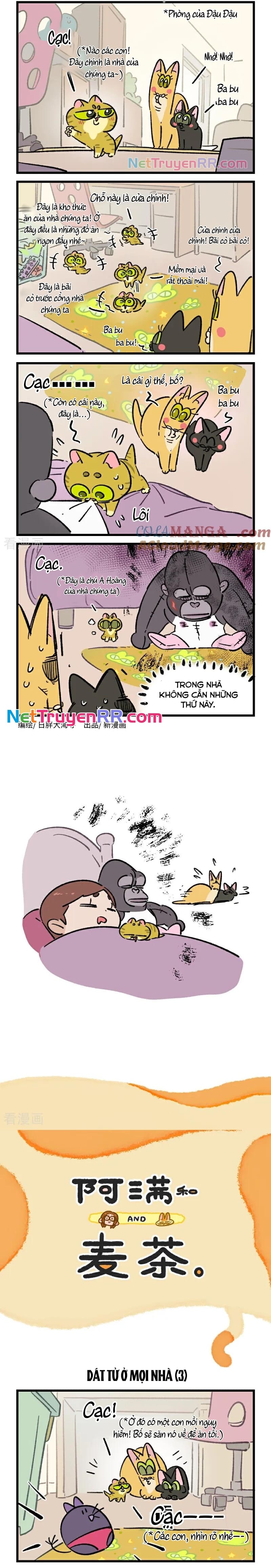 A Mãn Và Mạch Trà: Chapter 230