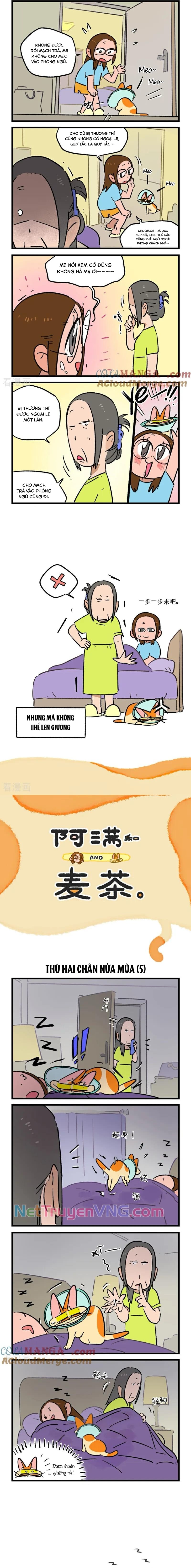 A Mãn Và Mạch Trà: Chapter 234