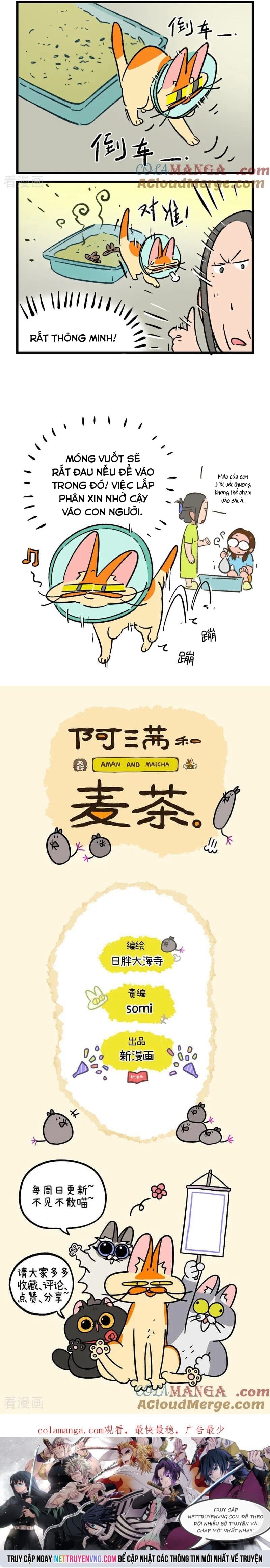 A Mãn Và Mạch Trà: Chapter 234