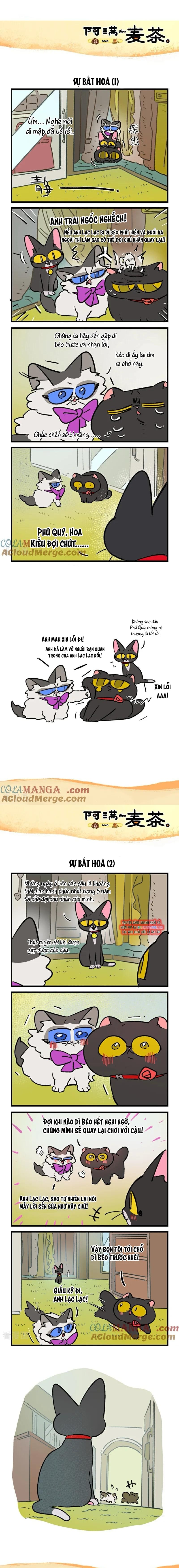 A Mãn Và Mạch Trà: Chapter 238