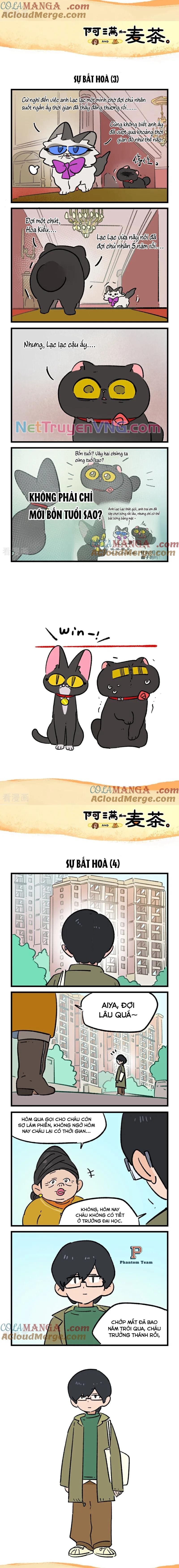 A Mãn Và Mạch Trà: Chapter 238