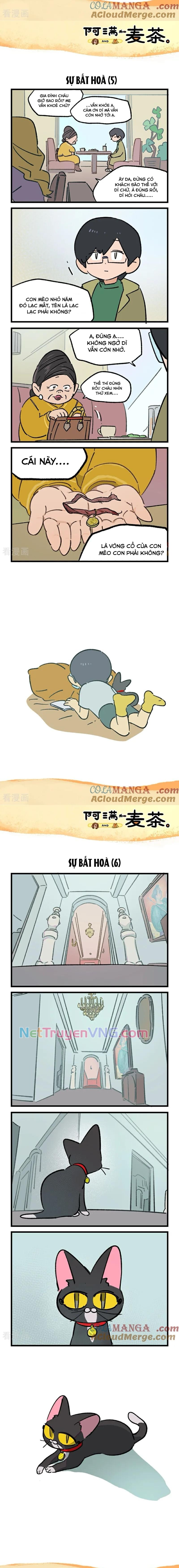 A Mãn Và Mạch Trà: Chapter 238
