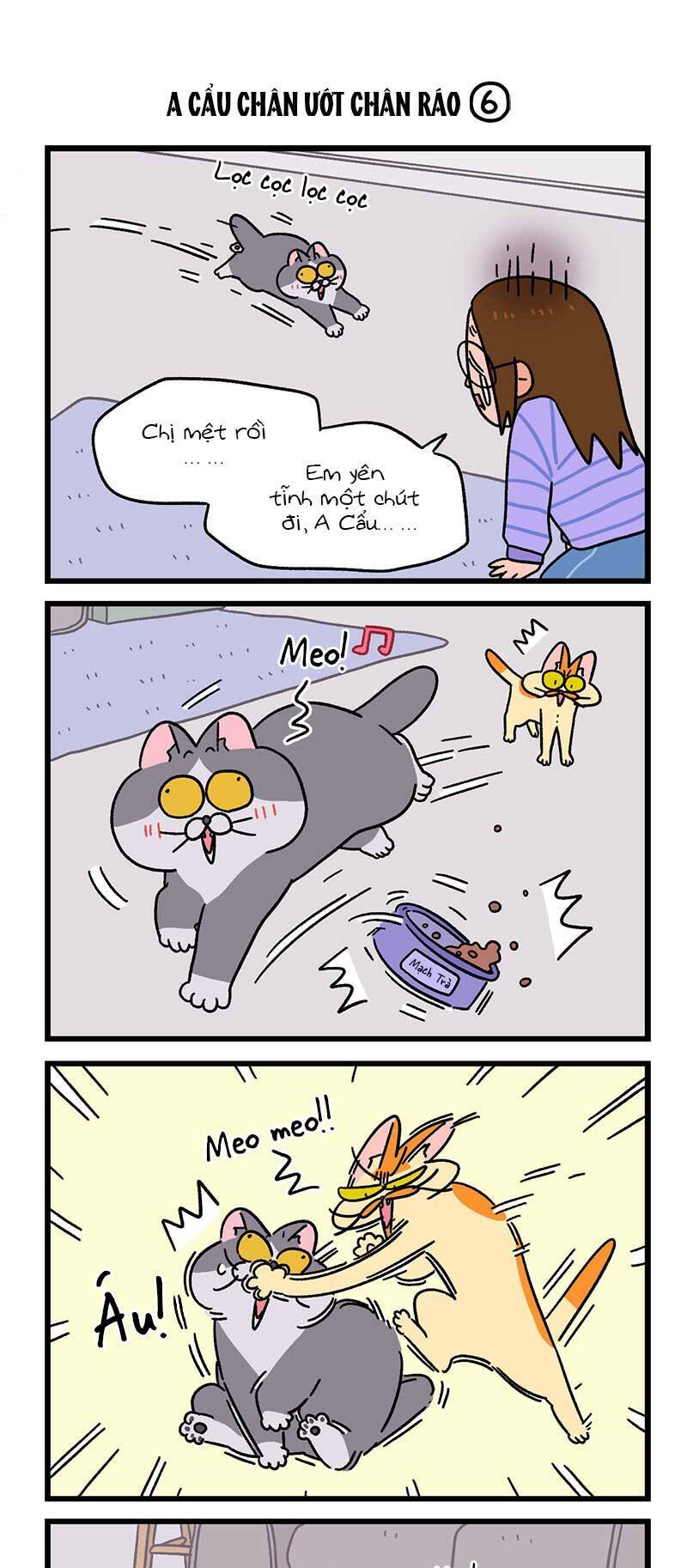 A Mãn Và Mạch Trà: Chapter 89.1