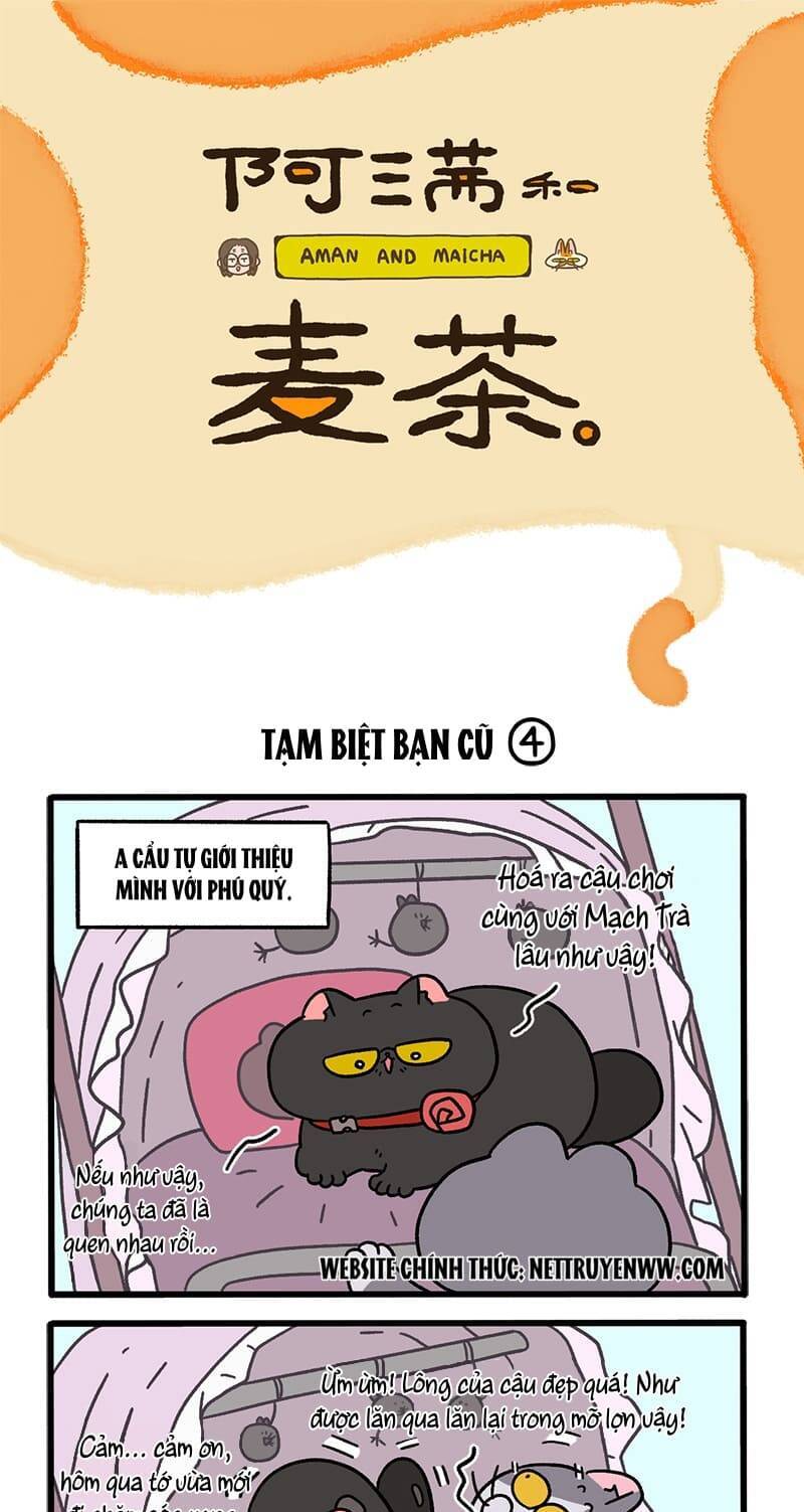 A Mãn Và Mạch Trà: Chapter 96.1