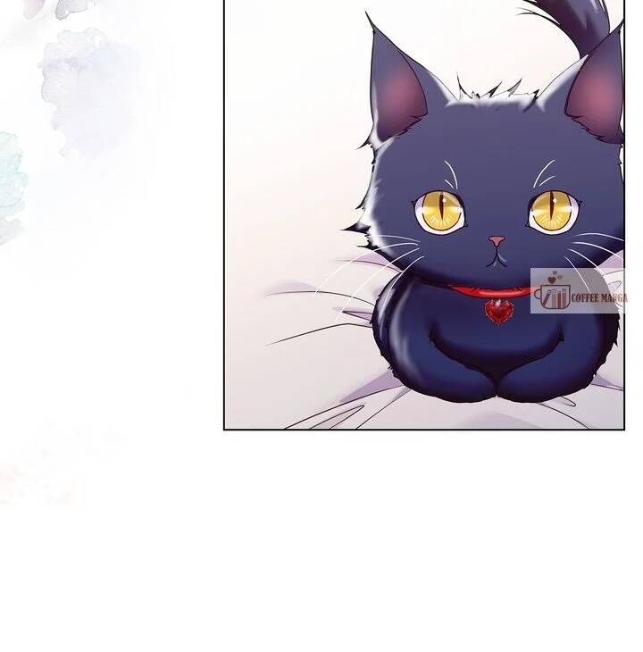 Ác Nữ Thuần Hóa Ác Quỷ Điên Rồ: Chapter 6