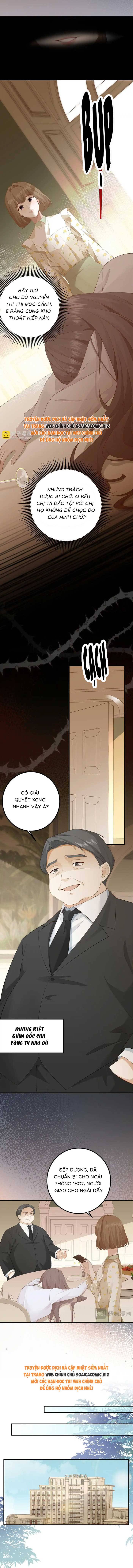 Ấm Hôn 100 Ngày: Chapter 5