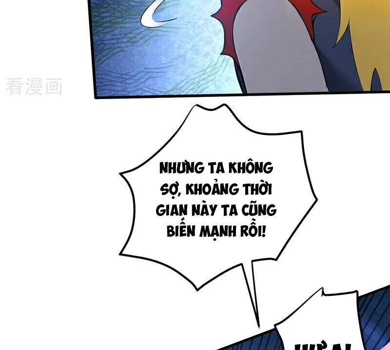 Ẩn Cư Mười Vạn Năm: Chapter 240