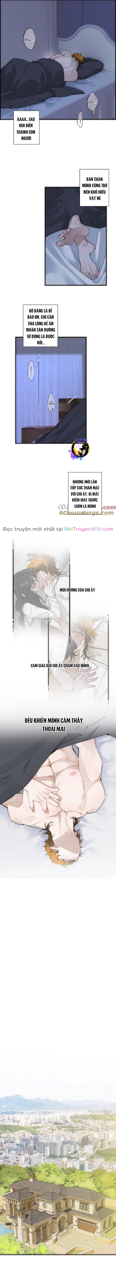 Ân Nhân Của Tôi Không Phải Học Giả: Chapter 33