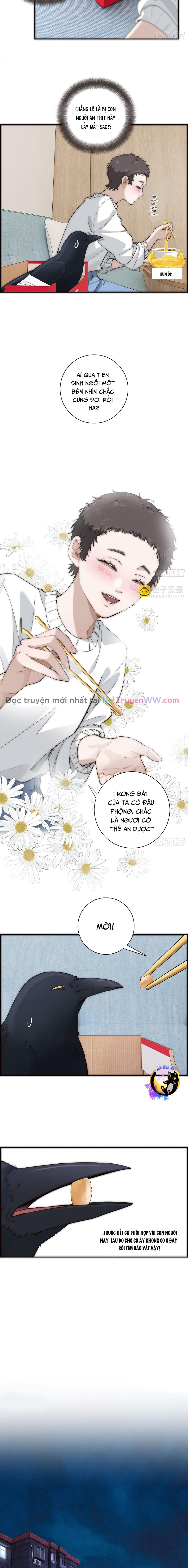 Ân Nhân Của Tôi Không Phải Học Giả: Chapter 37