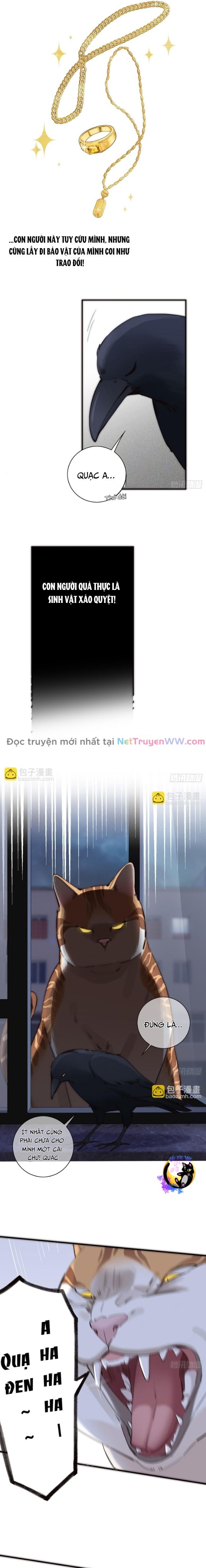 Ân Nhân Của Tôi Không Phải Học Giả: Chapter 37