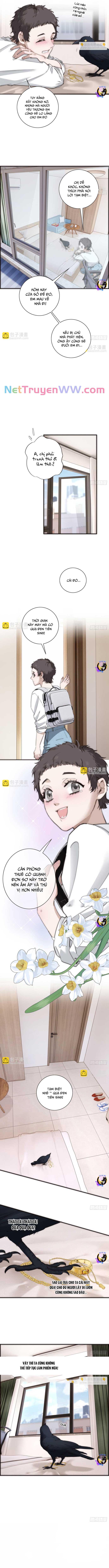 Ân Nhân Của Tôi Không Phải Học Giả: Chapter 42