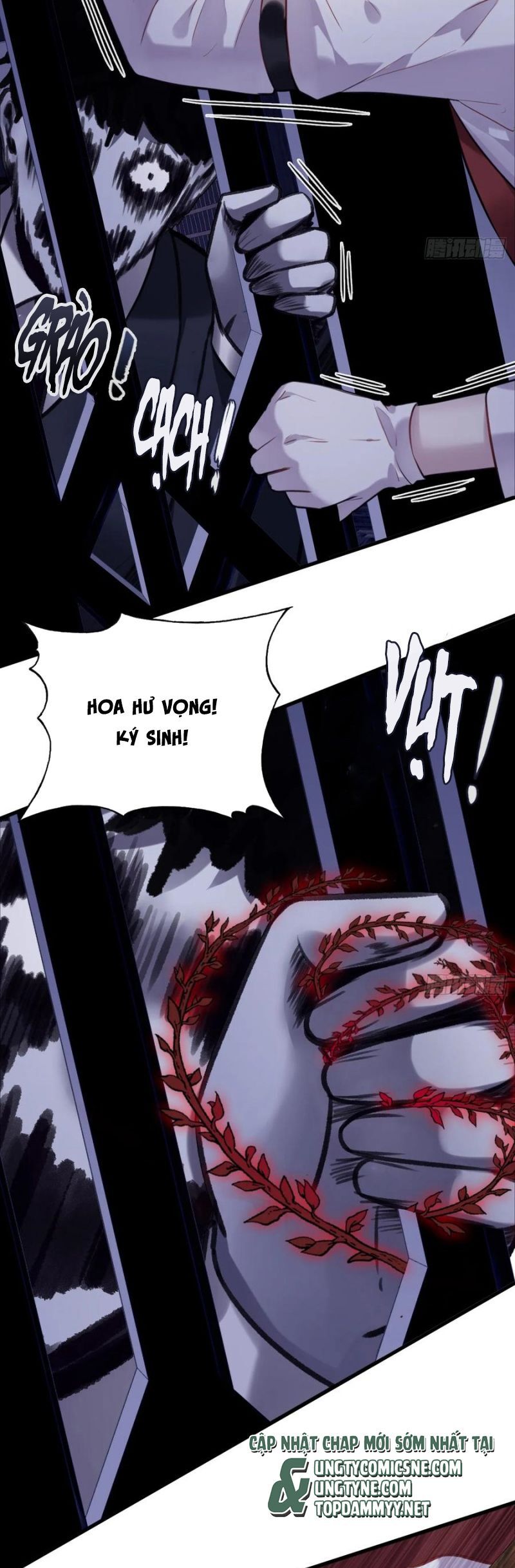 Anh Ấy Chưa Từng Rơi Xuống: Chapter 117