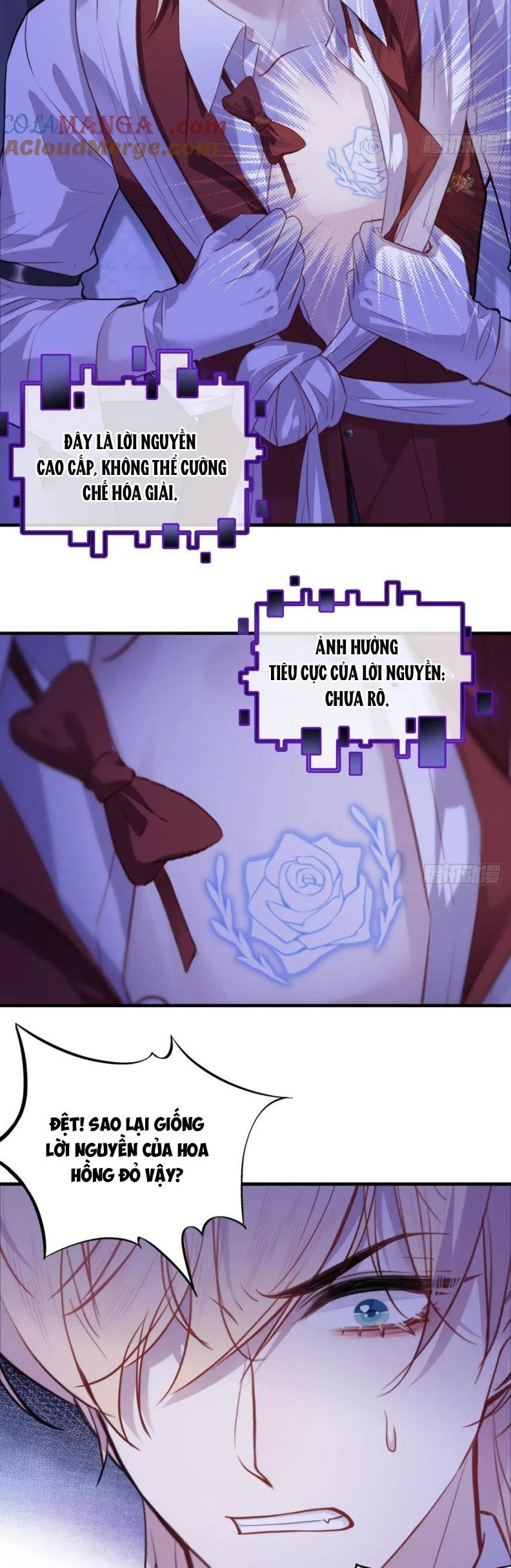 Anh Ấy Chưa Từng Rơi Xuống: Chapter 121