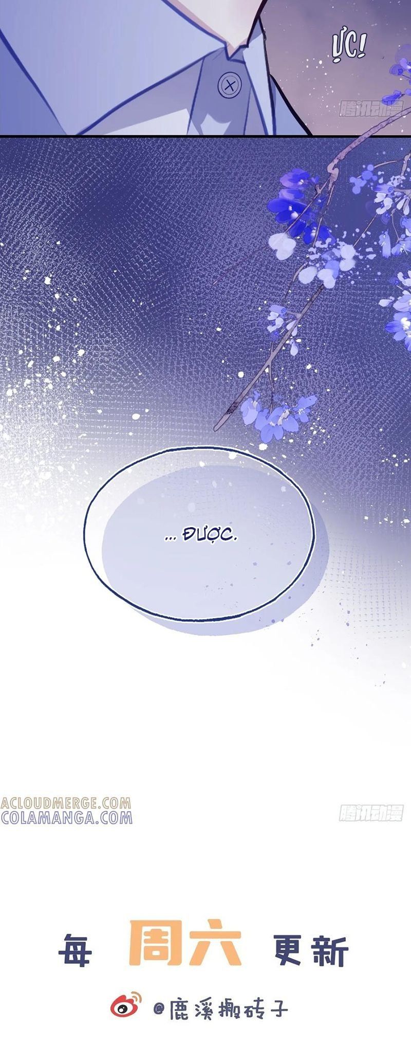 Anh Ấy Chưa Từng Rơi Xuống: Chapter 135