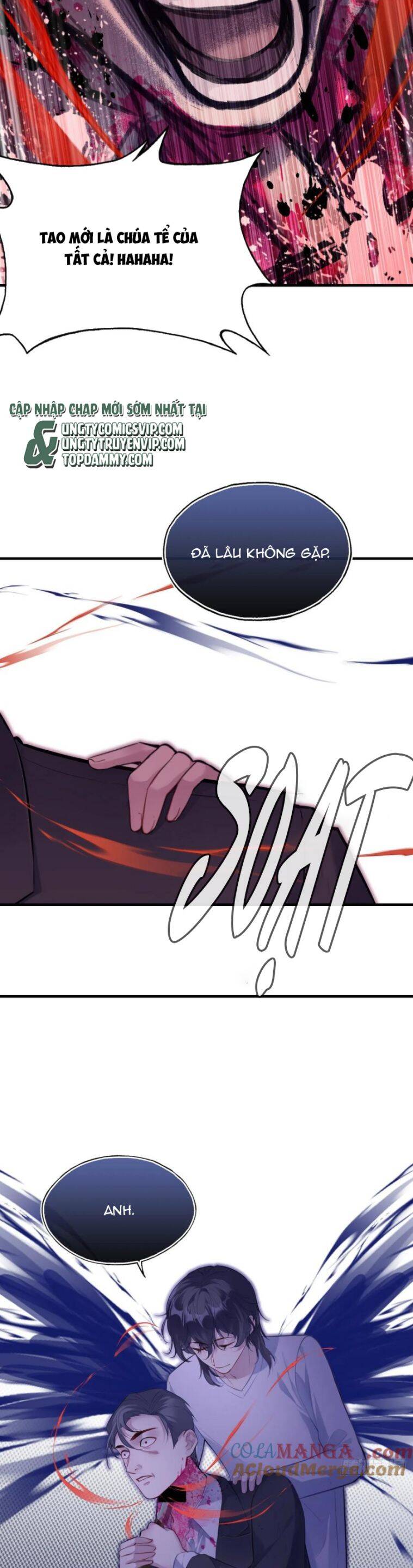 Anh Ấy Chưa Từng Rơi Xuống: Chapter 84