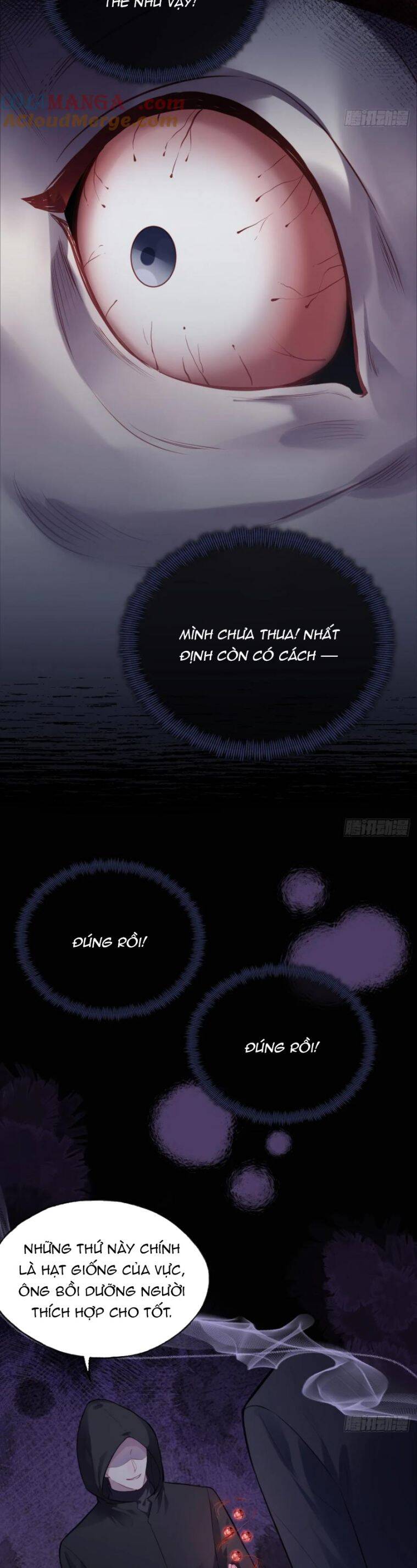 Anh Ấy Chưa Từng Rơi Xuống: Chapter 84