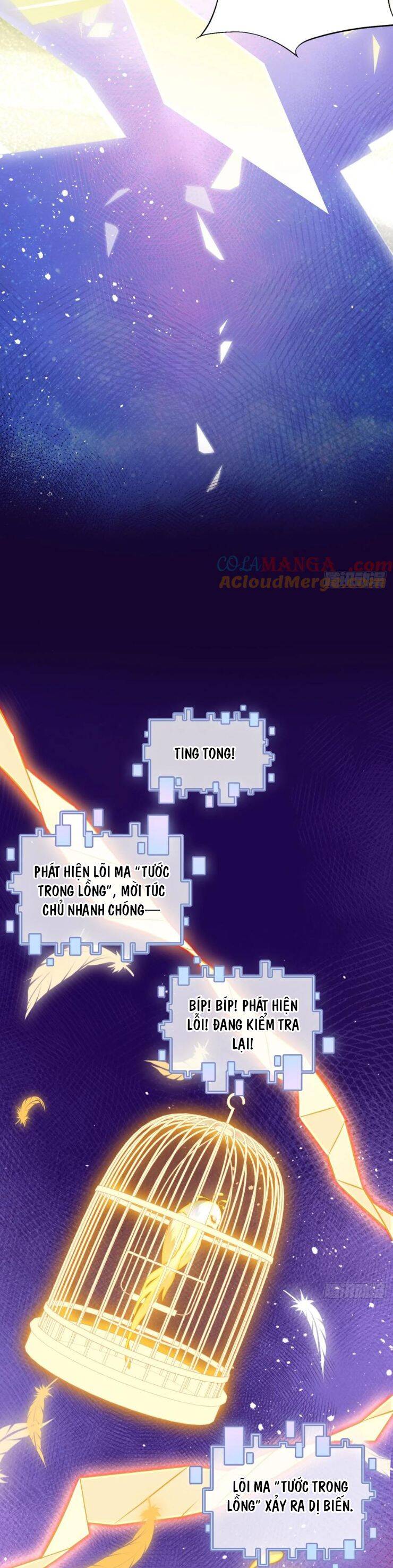 Anh Ấy Chưa Từng Rơi Xuống: Chapter 85