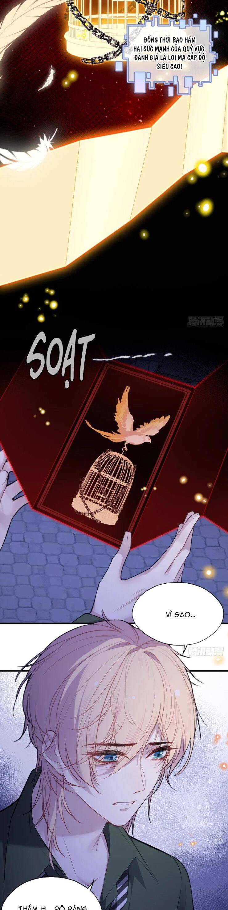 Anh Ấy Chưa Từng Rơi Xuống: Chapter 85