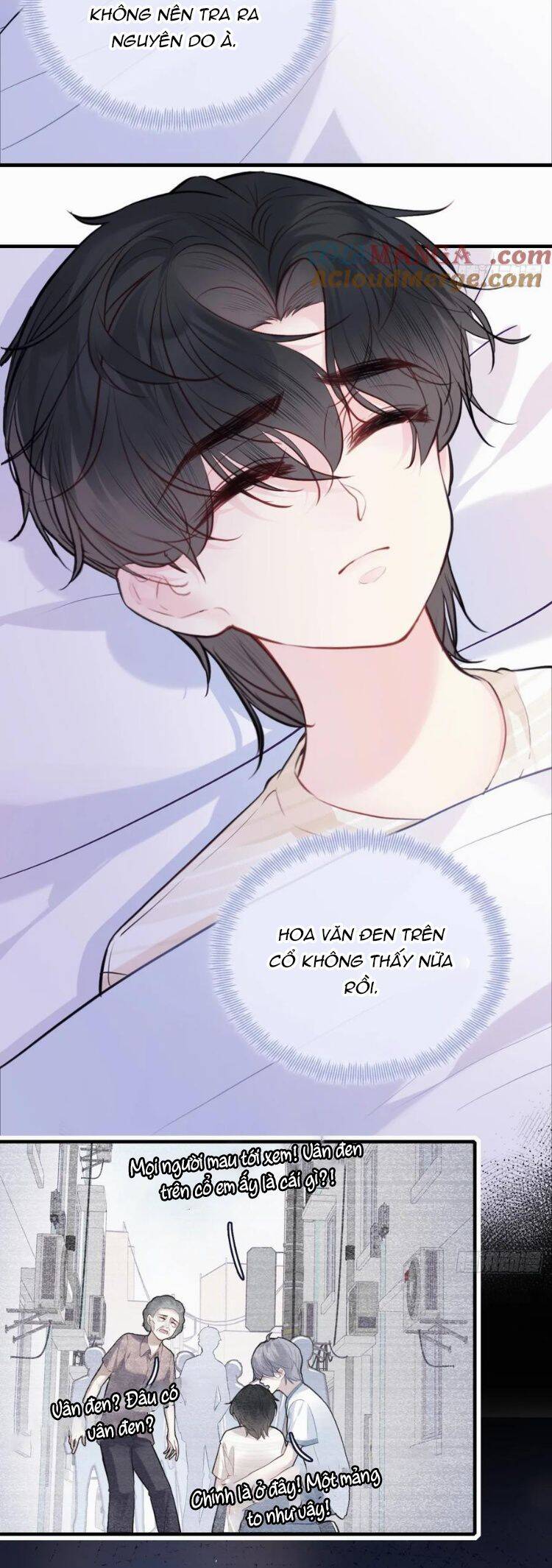 Anh Ấy Chưa Từng Rơi Xuống: Chapter 89